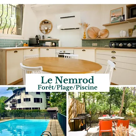 Le Nemrod, Cocon Familial A Hossegor, Piscine Et Terrasse