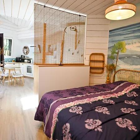 Le Nemrod, Cocon Familial A Hossegor, Piscine Et Terrasse Soorts-Hossegor